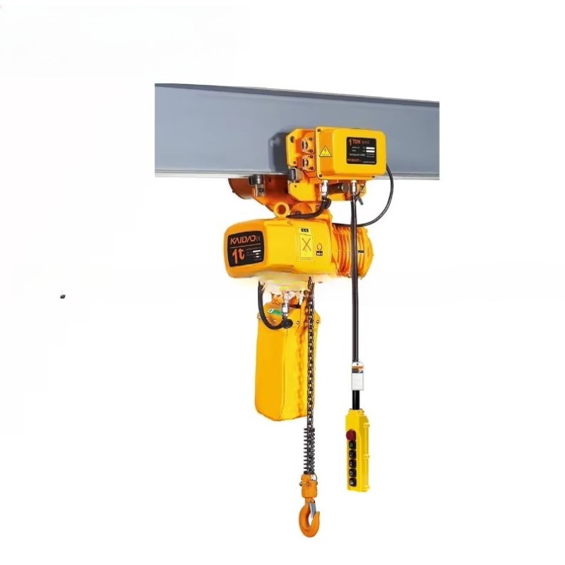 Dual Speed Electric Chain Hois - огляд і ціна Heavy Equipment Lifting
